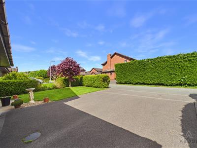 Picture 27